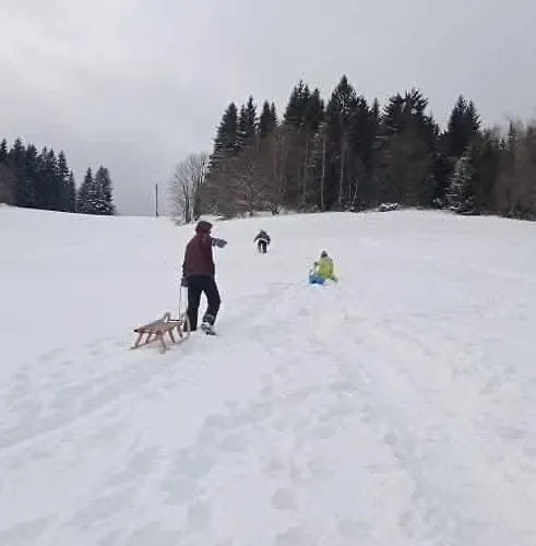 Wellness Rybarie Dom wakacyjny *